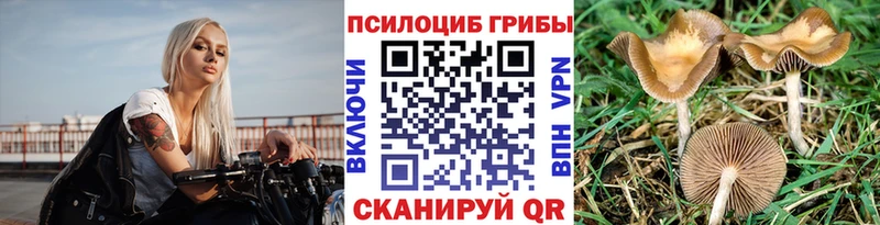 Галлюциногенные грибы GOLDEN TEACHER  Спасск 